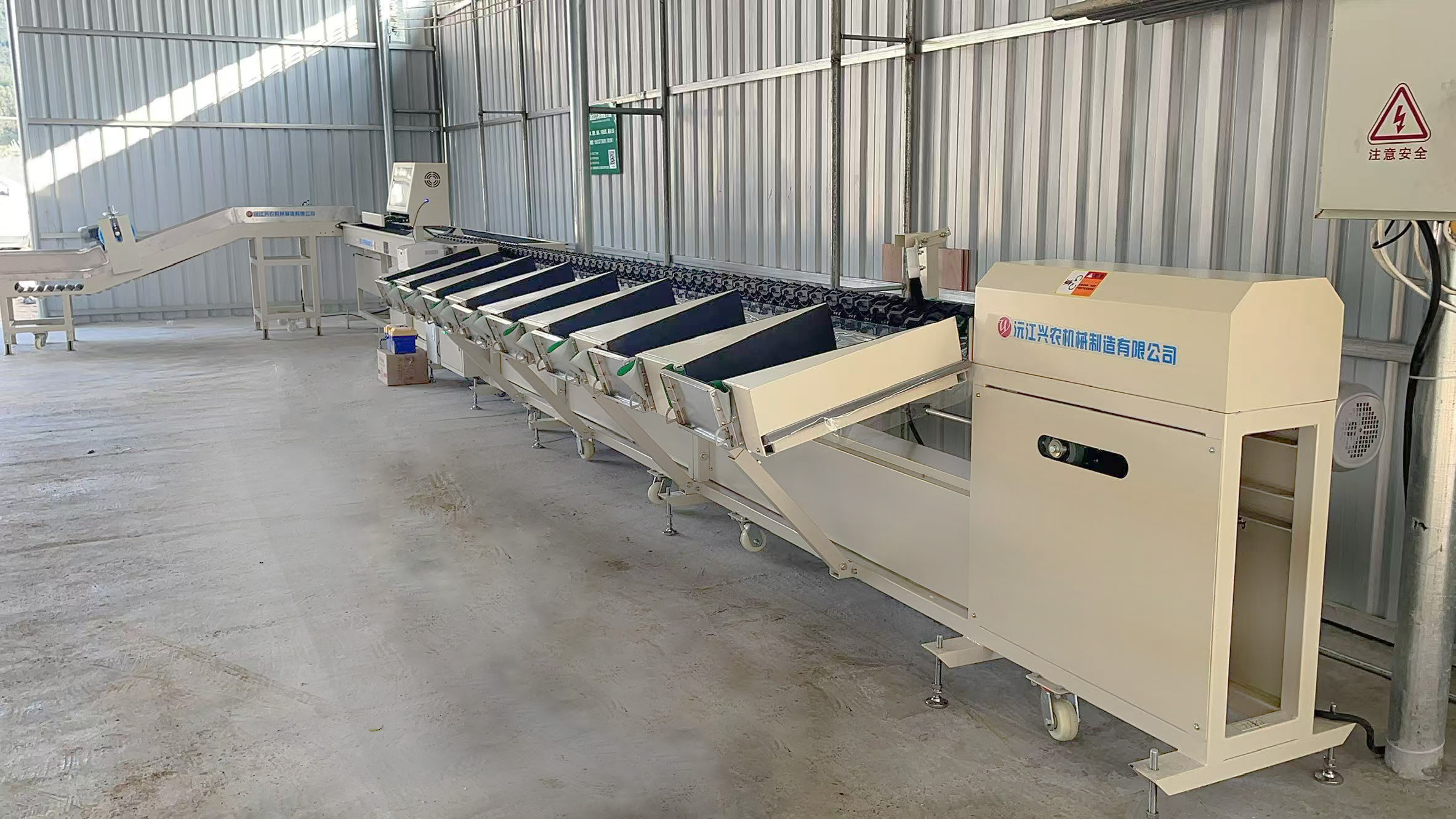 智能分選--百香果分選機(jī)